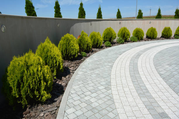 Best Driveway Paving Contractor  in Bar Nunn, WY